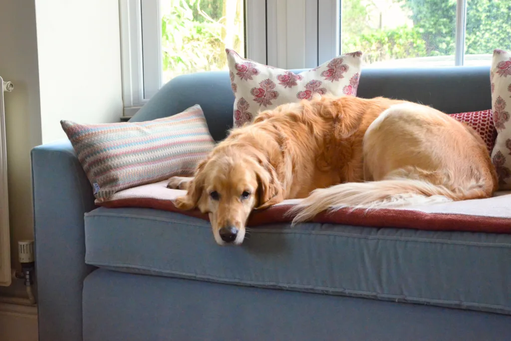 Sofa topper 2 edited