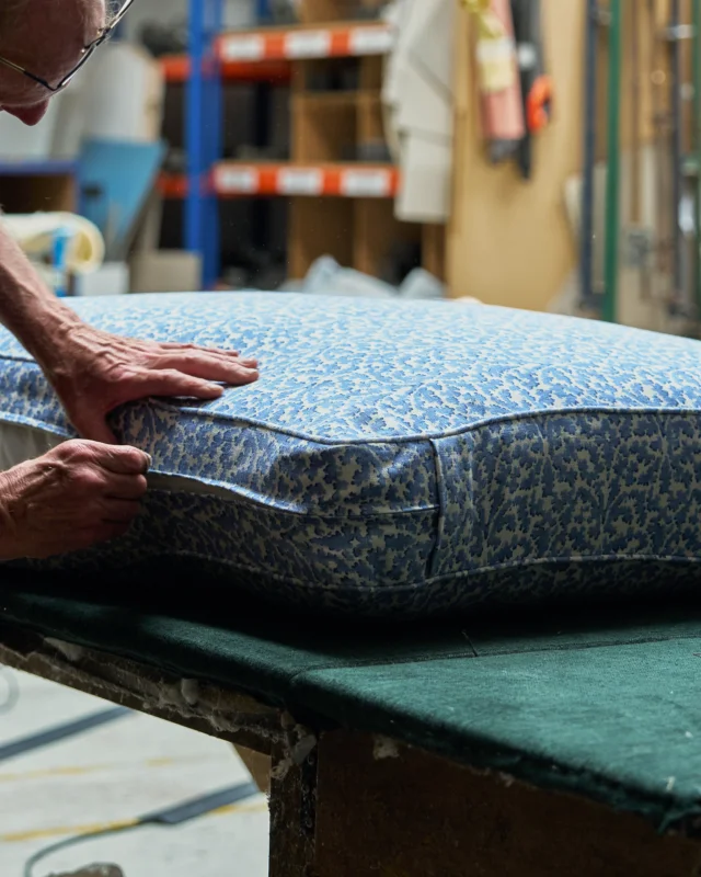 Asnew Workshop Visit June 24 Cushions