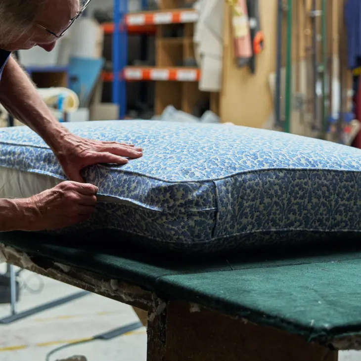 Asnew Workshop Visit June 24 Cushions