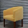 Joyful Velvet Tub Chair