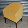 Joyful Velvet Tub Chair