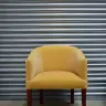 Joyful Velvet Tub Chair