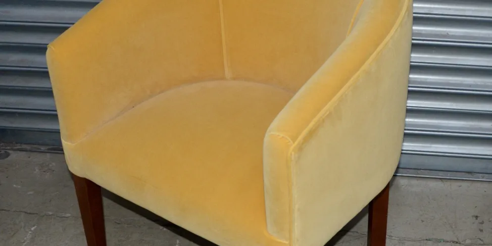 Joyful Velvet Tub Chair
