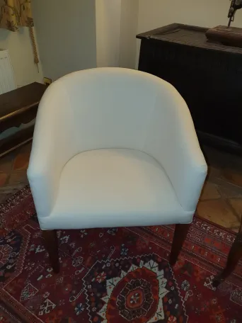 Joyful Velvet Tub Chair