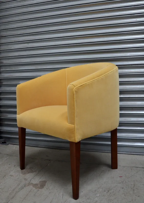 Joyful Velvet Tub Chair