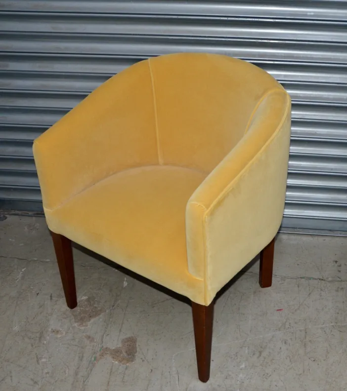 Joyful Velvet Tub Chair