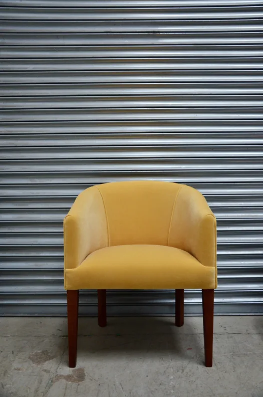 Joyful Velvet Tub Chair